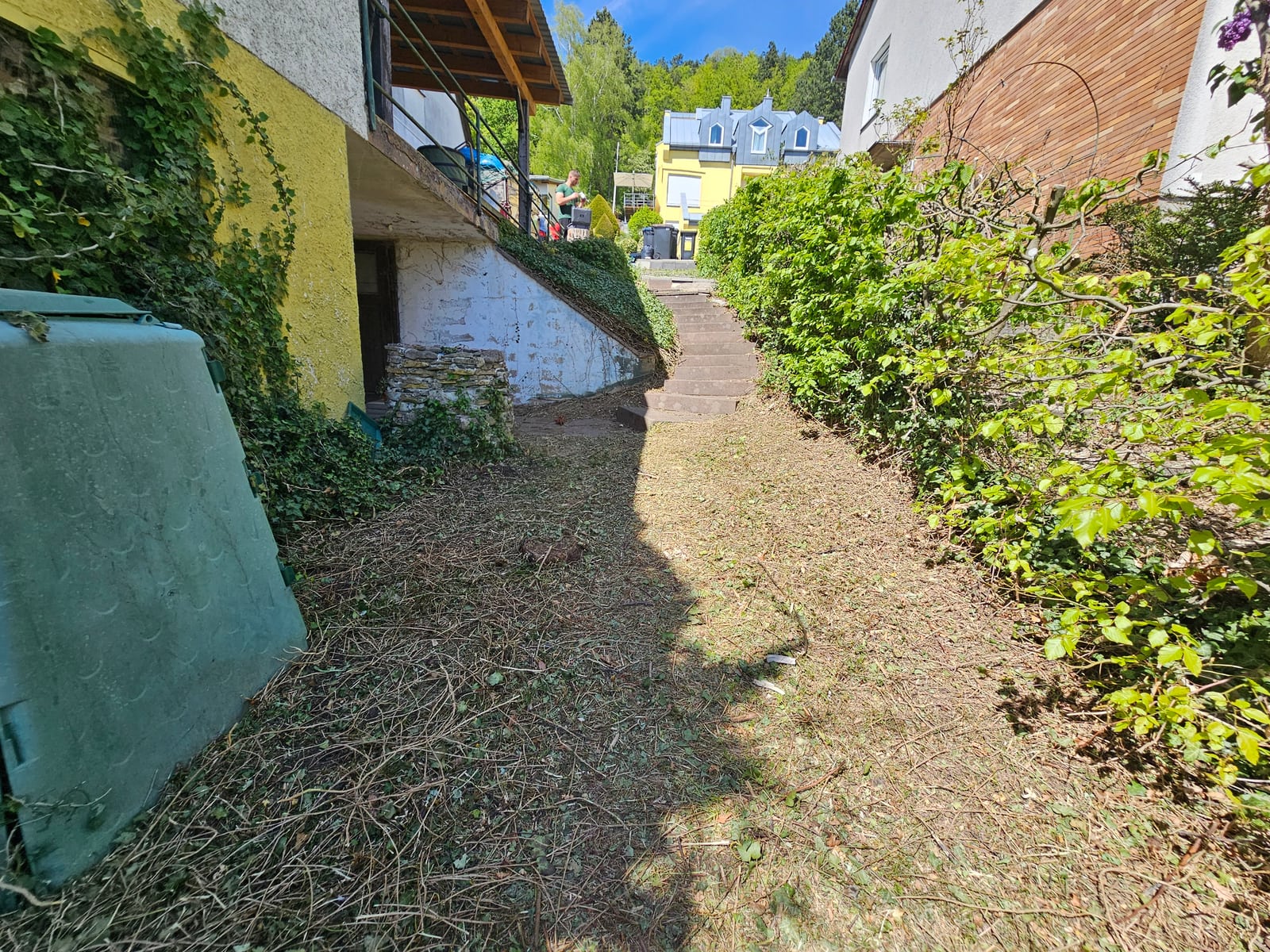 Pflege rund um Gartenwege